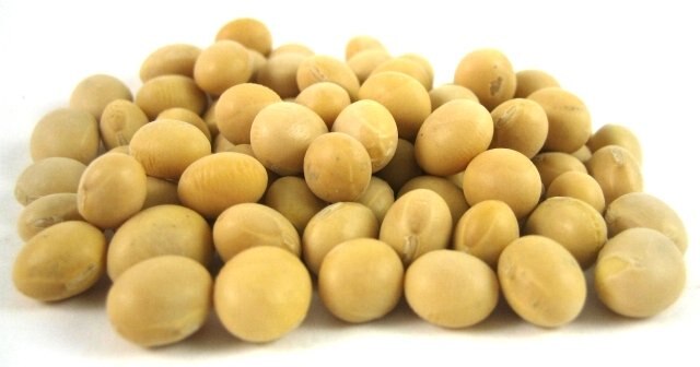 Organic Soy Beans photo