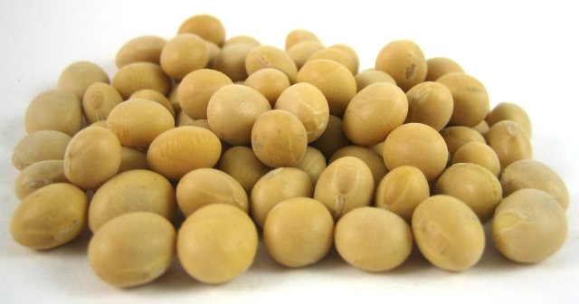 Raw Soybeans photo 1
