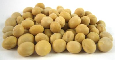 Raw Soybeans