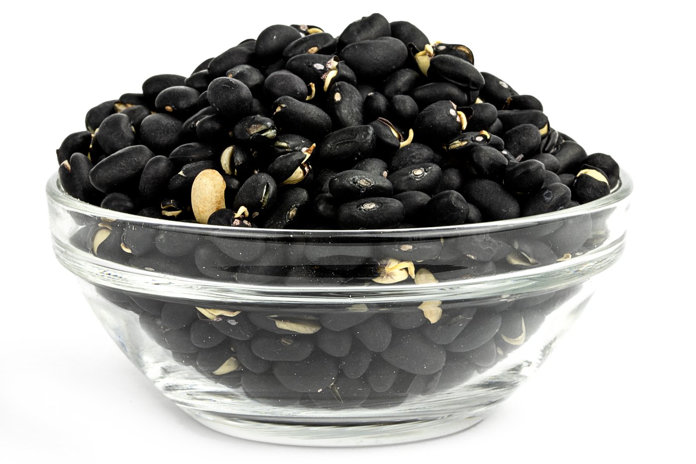 Organic Sprouted Black Beans photo
