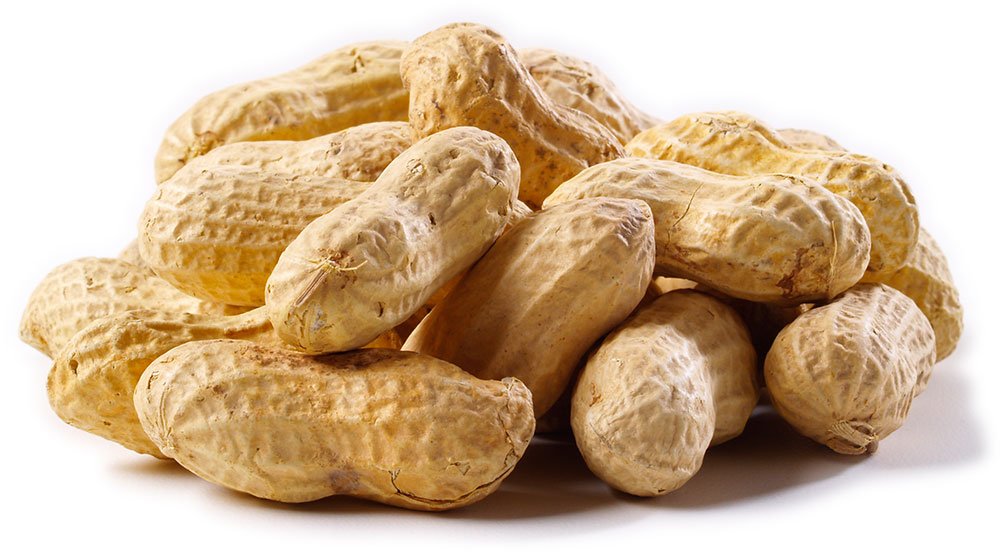 Jumbo Raw Peanuts (In Shell) photo