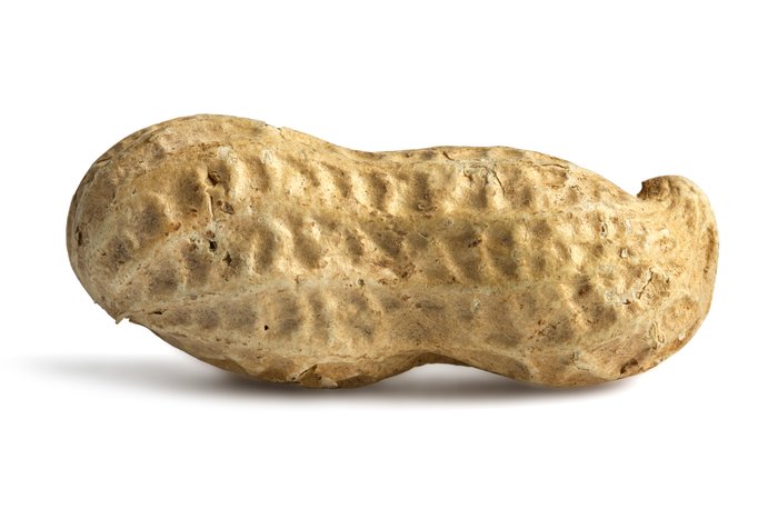 Jumbo Raw Peanuts (In Shell) photo