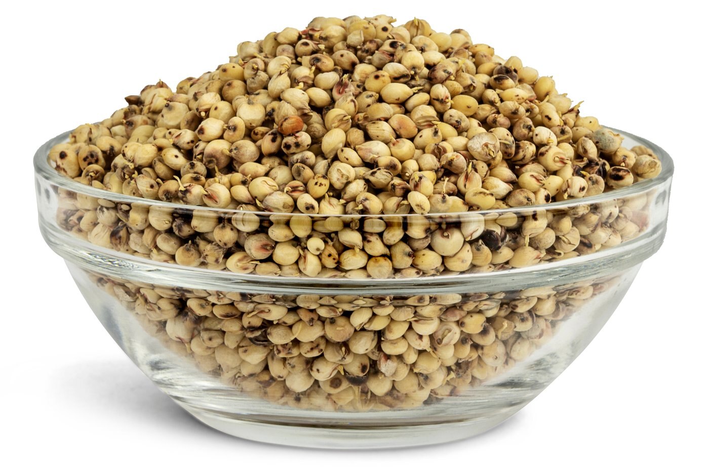 Organic Sprouted Sorghum photo