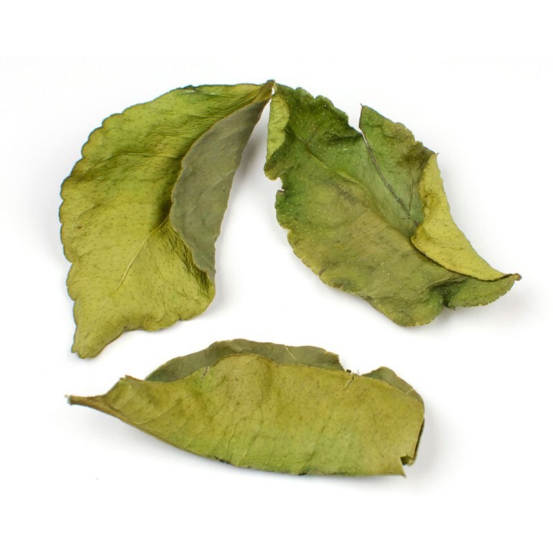 Makrut Lime Leaves (Thai Lime Leaves)  photo