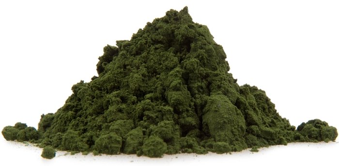 Organic Spirulina photo