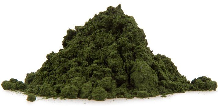 Organic Spirulina photo