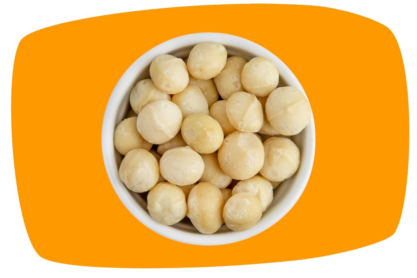 Raw Macadamia Nuts photo