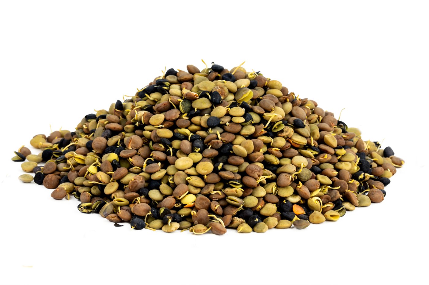 Organic Sprouted Lentil Blend photo